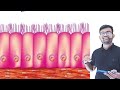 Tissue in Hindi || Epithelial Tissue || Types of Epithelial Tissue || Function of Tissue || उत्तक