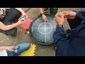 jugando con ozbaruto beyblade burst(5)