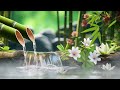 Relaxing Music Relieves Stress, Anxiety and Depression, Heals the Mind, body and Soul - Deep Sleep