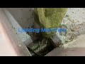 PET bottle crushing washing drying line