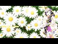 Nightcore Finalemente (OldSchool Mix 1990s-2008)