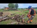 Log Pile Destruction