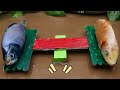 Two Blue Sharks, Can They Survive With Dinosaurs, Koi Fish STOP MOTION COOKING in real life Coco