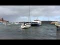 Manly Fast Ferry rescues stranded yacht