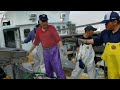 🇯🇵Video of a skipjack boat unloading large tuna fish at a Japanese port‼️#skipjack #japan #tuna