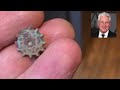 Metal Detecting Beach After Storm: Post Nor'easter Treasure Hunting In New York City