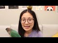 HOW TO INTRODUCE TWO BIRDS | Getting Two Birds to Get Along (Green Cheek Conures)