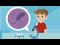 What are microorganisms? Bacteria, Viruses and Fungi