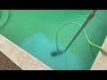 Pool Flocculant - Fastest Way to Clean Stubborn Pool [BLUE WATER IN 24 HOURS]