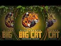 Ringleader x Trini Baby - Big Cat - (Cut A Flick Riddim) -  2023 release