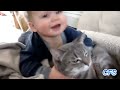 Cats Love Babies