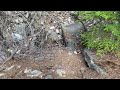 Libby Creek Montana RECREATIONAL GOLD Panning