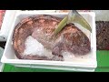 Unbelievable: Found Something Shocking in a 60,000 Yen Salmon's Stomach from the Market! Why?