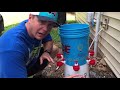 DIY 5 Gallon Poultry Waterer in 10 minutes!  We also have BIG NEWS from RentACoop!