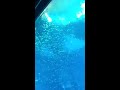 SEA Aquamarine Sentosa