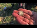 Felt it in My Bones! - Incredible Old Coins & Relics Found Metal Detecting This Early American Farm