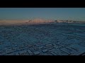 Snowy N Kingman, Butler, Birdland at Sunrise March 2, 2023