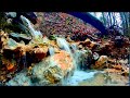 Calming mountain stream waterfall autumn ✦ Relax Sound ✦ Birdsong