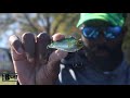 How To Retrieve Lipless Crankbaits