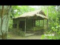 Amazing Girl Builds The Most Beautiful Bamboo House in the Wild To Live Alone Happily Ever After