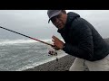 The tips and tricks that every Sole fisherman should know - Easy and useful