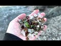 Glass Beach California: Is it worth visiting in 2023?