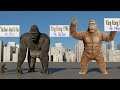 King Kong And Giant Monkeys Size Comparison| Godzilla x Kong New Empire
