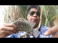 nyagong nunggu ikan mas yg keluar#paser ikan nila