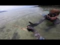 Shallow Water Tako Hunt! // Diving for Octopus Hawaii