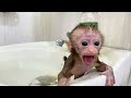 GOLA Baby Monkey: The Frightening First Bath with Soap That Left Her Shaking