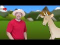 Safari Animals + More | Animal Songs for Children by Steve and Maggie | Collection Stories for Kids