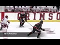 Jack Rathbone - Harvard Crimson - Canucks prospect - early 2019-20 highlights