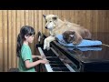 Emilie Plays Piano for Sharky the Dog and Satang the Cat