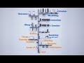 Total Laboratory Automation by Inpeco [animation]