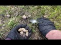 Crunchy twigs~Crackling fire~Trash collecting~Pebble gleaning~No talking ASMR