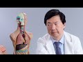 Dr. Ken Jeong Answers Medical Questions From Twitter | Tech Support | WIRED