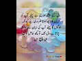 NEW AQWAL E ZAREEN IN URDU 🥀💯😍/Urdu Quotes of LIFE /GEHRI BAATAIN /Golden Words