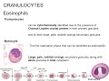 ASCP | MLS | MLT | Hematology | Leukocyte Development, Kinetics, & Functions