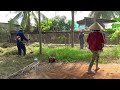 Clean the abandoned house and be overwhelmed by the trees covering the house