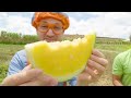Blippi Learns Healthy Eating For Kids At Tanaka Farm | Educational Videos For Toddlers