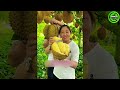 The Most Modern Agriculture Machines That Are At Another Level,How To Harvest Pineapples In Farm▶9