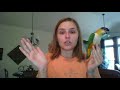 What is it like to own a Caique Parrot?