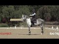 How to Use Your Reins