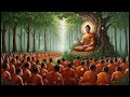Buddhism Podcast | The Best Teachings of the Buddha | Mind Podcast