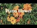 Piano Flower ✨Study Wit me 📖Piano melodies and soothing melodies to make your day feel good