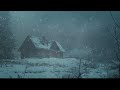 Howling Blizzard Sounds | Winter Ambience | Heavy Wind & Snowfall | Snowstorm Sounds For Sleeping