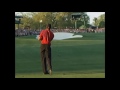 Tiger Woods PUREST Shots in Golf HISTORY(HD)