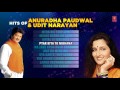 Hits Of Anuradha Paudwal & Udit Narayan | Super Hit Duet Songs | Audio Jukebox