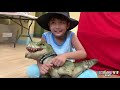 Dino Valley Playset - Green Trex Treehouse dinosaur toys battle raptor