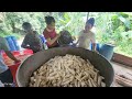 Harvest young bamboo shoots to sell and bring the plants back to the farm | Lý Thị Viện